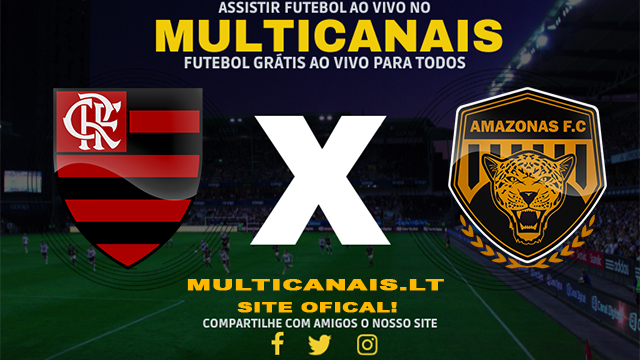 Assistir Flamengo x Amazonas AO VIVO Online 01/05/2024