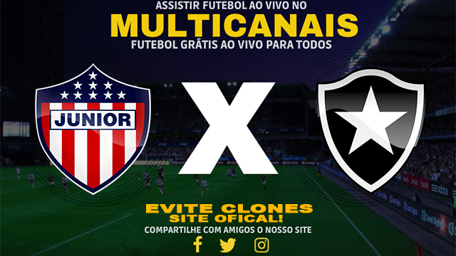 Assistir Junior x Botafogo AO VIVO Online 28/05/2024